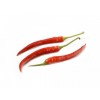 Peper Rood