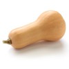 Flespompoen