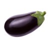 Aubergine