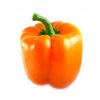 Oranje paprika