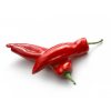Punt Paprika Rood